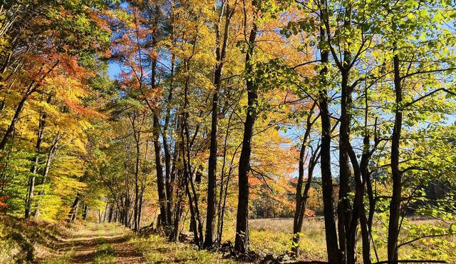 Charming NH log cabin "Lake Escape" on Highland Lake in Stoddard ~