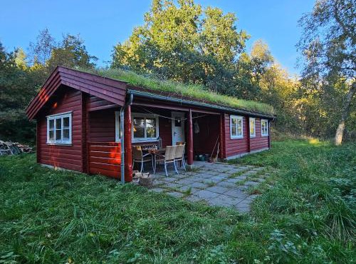 Charming Norwegian Log Cabin With Grass Roof