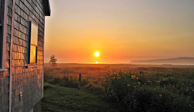 Charming Oceanfront Beauty~Balcony~FirePit~Huge Deck~Wifi~A/C~Pets~Birding~GREEN