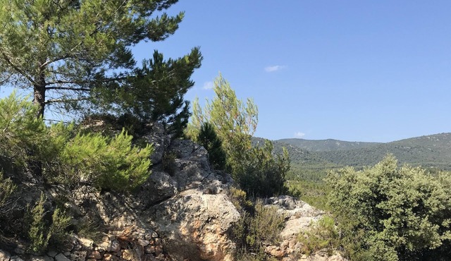 Charming old Provencal house in the heart of nature(Provence/Verdon)