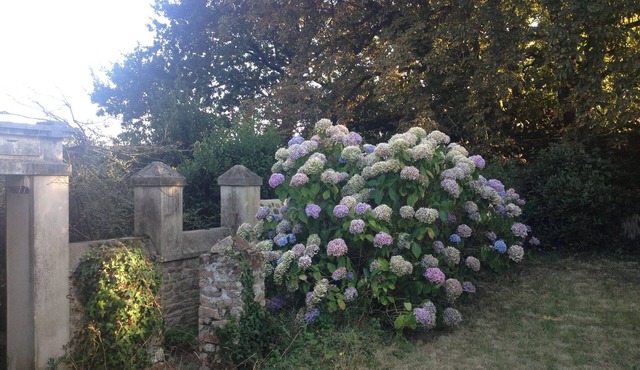 Charming old quiet house with garden - Village and sea on foot