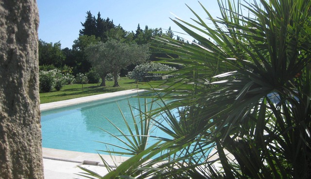 Charming, peaceful farmhouse with swimming pool and wooded grounds, 6 km from Isle sur la Sorgue