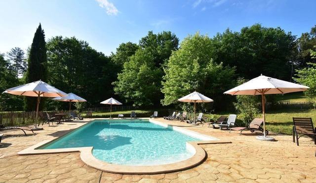 Charming Périgord house with swimming pool in a green setting