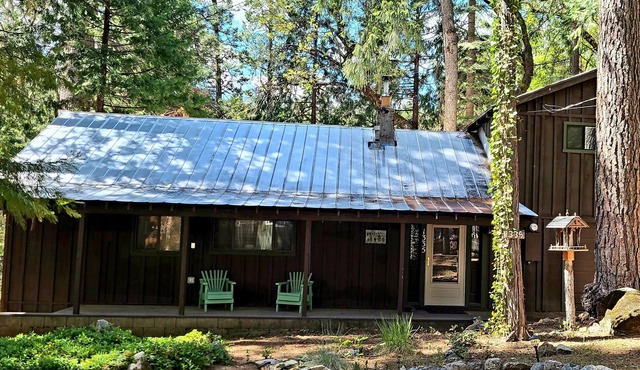 Charming pet friendly cabin in the woods close to South Lake Tahoe. Ski! Hike!