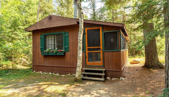 Charming Pet-Friendly Cabin in Ely, Ideal for Getaways to Nature in Minnesota