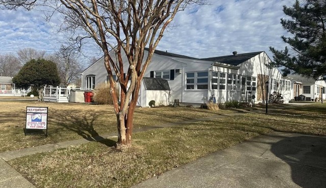 Charming Pet Friendly Quad - Village Green