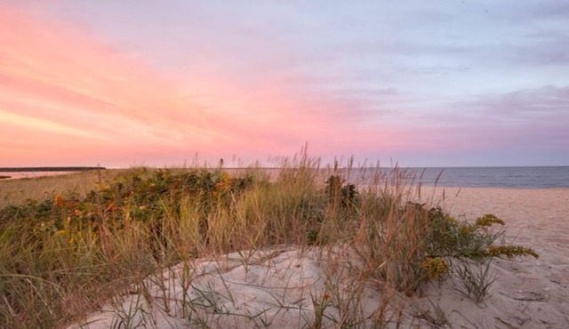 Charming Poppy Cottage - Walk to Beach, Central AC!