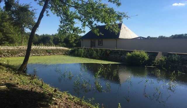 Charming "Potager 2" bungalow in Sologne in a relaxing forest setting