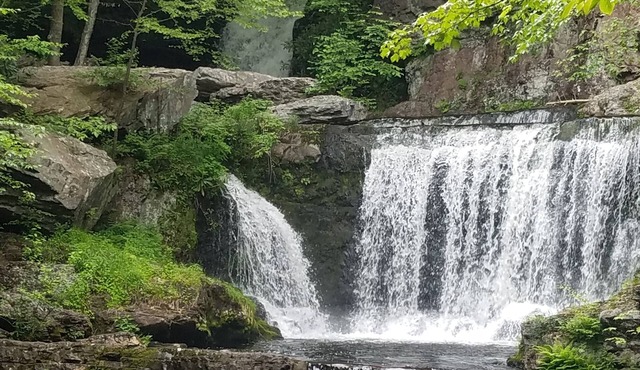 Charming Private Lakefront Cottage Perfect setting on your Pocono getaway.