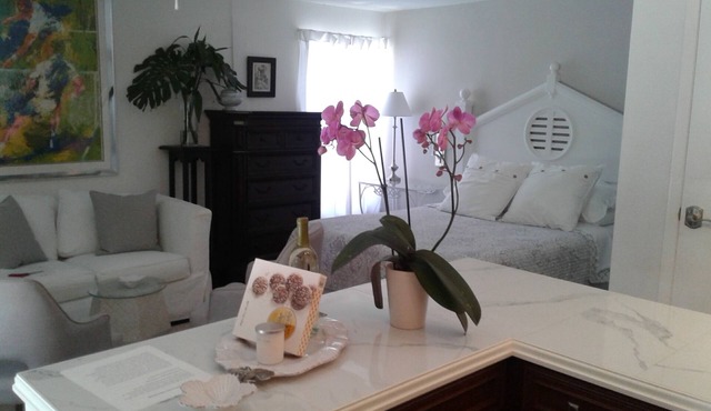 Charming Private Garden Cottage hide away in the heart of Sarasota