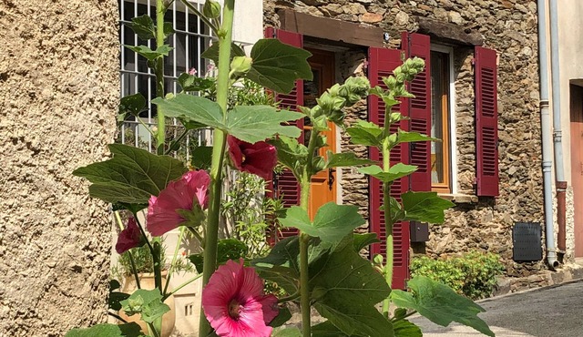 Charming Provencal stone house with roof terrace and fantastic distant view