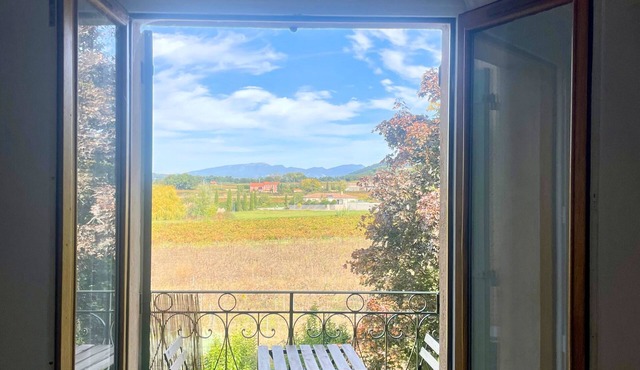 Charming Provençal duplex with vineyard view