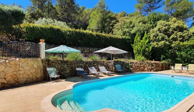 Charming Provencal villa in the heart of the forest and the village of Lorgues