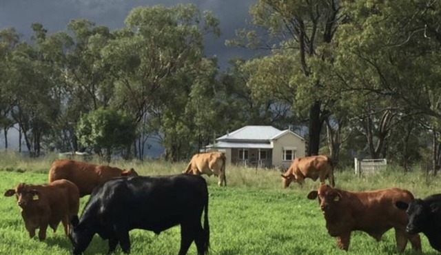 Charming Queenslander Cottage in peaceful setting