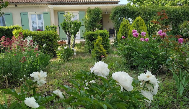 Charming, quiet house