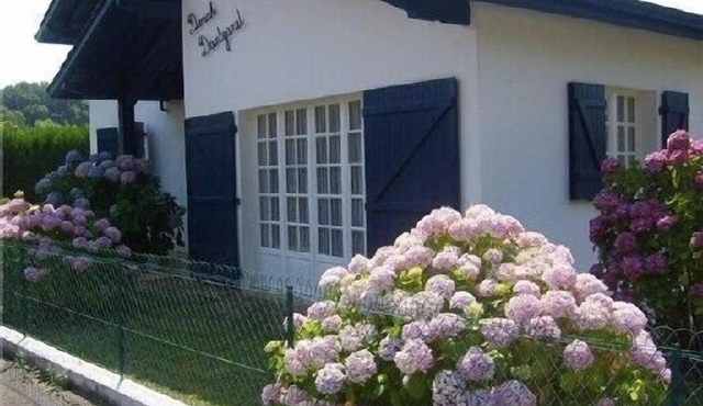 Charming quiet apartment in Villa with garden