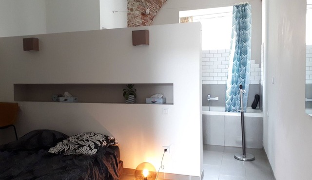 Charming, quiet and functional apartment with a garden. Free parking in front