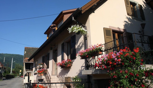 Charming quiet house in a wine village. Charming house in