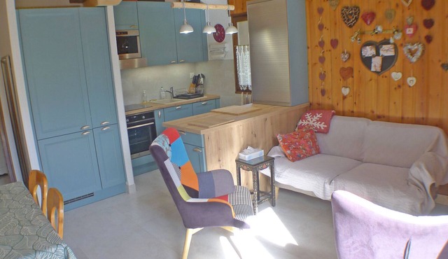 Charming quiet T3 500m from Samoëns center with parking