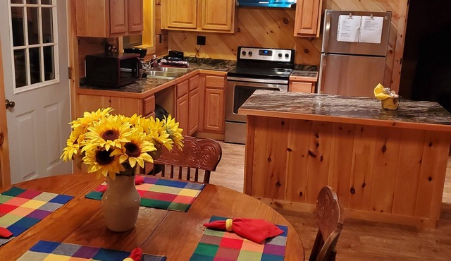 Charming ranch style log cabin with AC in scenic Winona