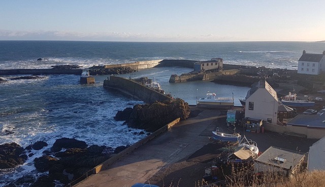 Charming refurbished cottage with sea view and lovely garden