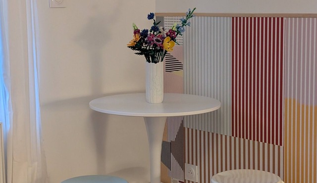 Charming Reims Arena Studio with Private Terrace and Wi-Fi