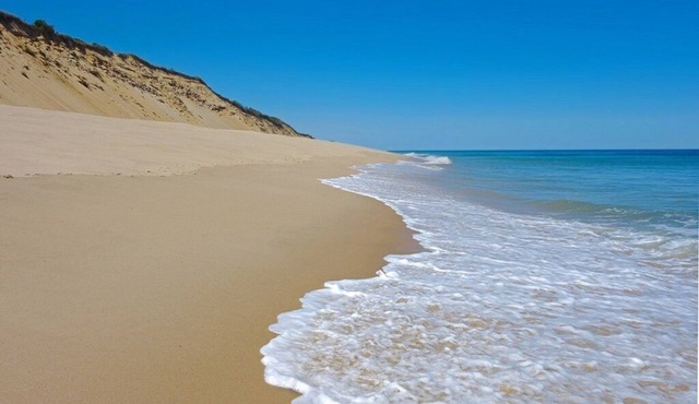 CHARMING RELAXING HOME - WALK TO DOWNTOWN MAIN ST, HARBOR, RESTAURANTS & MORE.