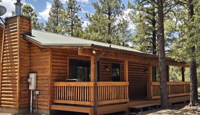 Charming remodeled family cabin room for 8 nestled in the woods & near skiing