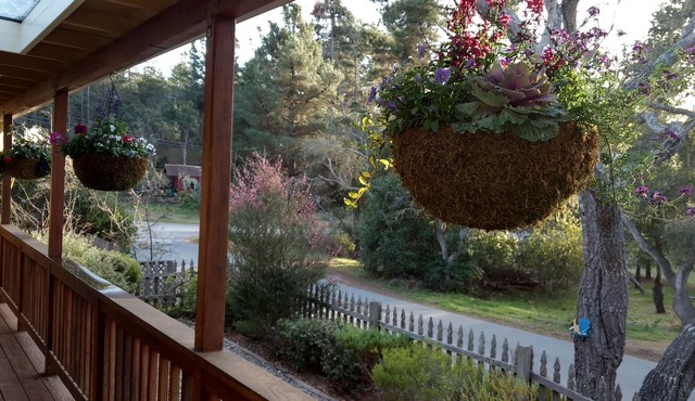Charming Remodeled Single Level. HotTub. Fenced backyard. Porch view!
