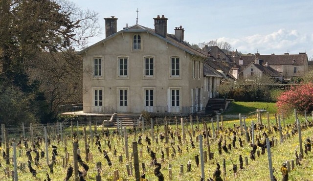 Charming renovated villa in the middle of the best vineyards
