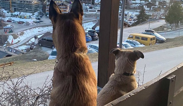 Charming renovated apartment with south-facing terrace