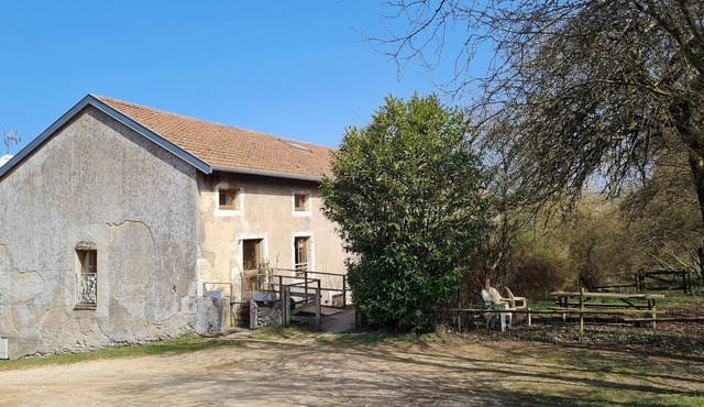 Charming Renovated Mill with Trout Fishing, Near Metz and Nancy