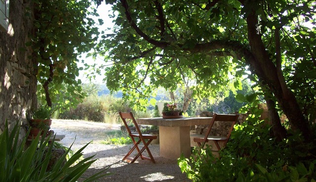 Charming rental in Luberon 'Sous le Figuier'