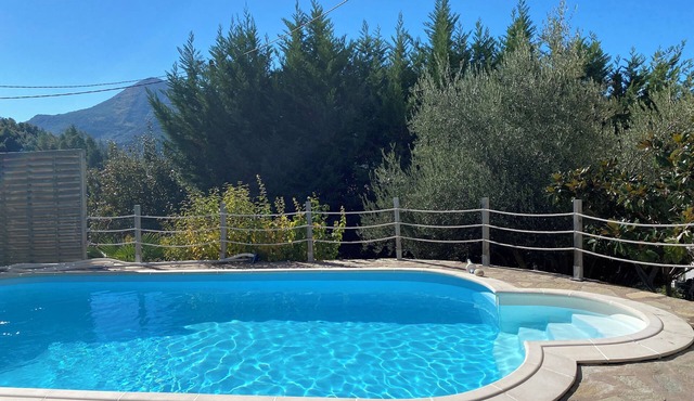 Charming rental with private pool - Central Corsica - natural and quiet setting