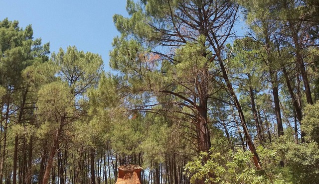 Charming restored sheepfold - 2 people