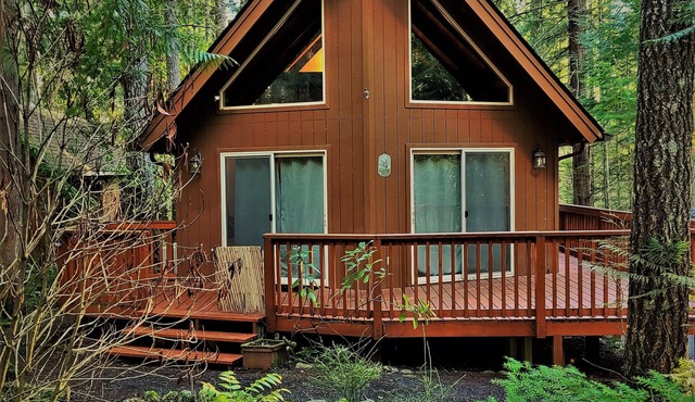 Charming Retreat w/Woodstove & Old School Movies - Hoodsport/Lake Cushman