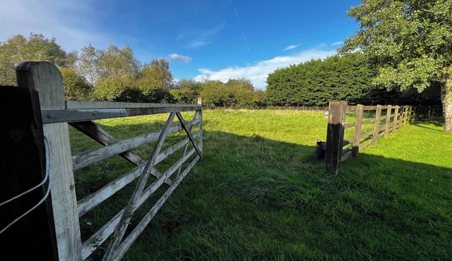 Charming Retreat with Sauna, Dog Swimming Pool, and Rural Charm