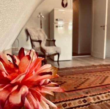 Charming rooftop apartment in Uhre