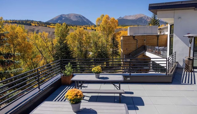 Charming Room Near Silverthorne's Best Ski Slopes! Pets Allowed!