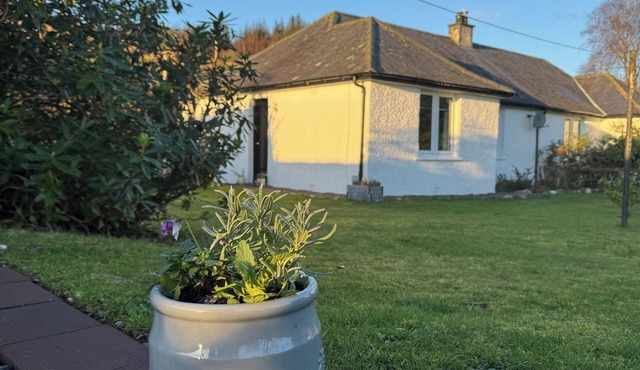 Charming rural cottage, with stove & large garden overlooking Loch Awe, Argyll.