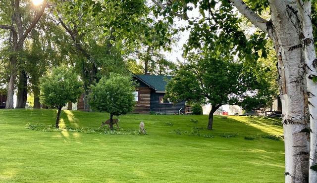 Charming rustic cabin with shared lake access and golf course views.