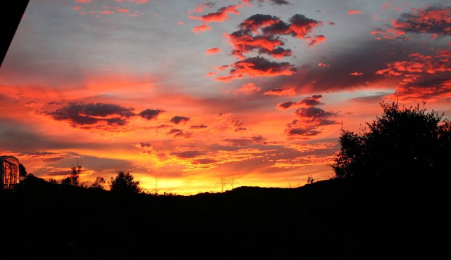 Charming RV Trailer in Country Setting.