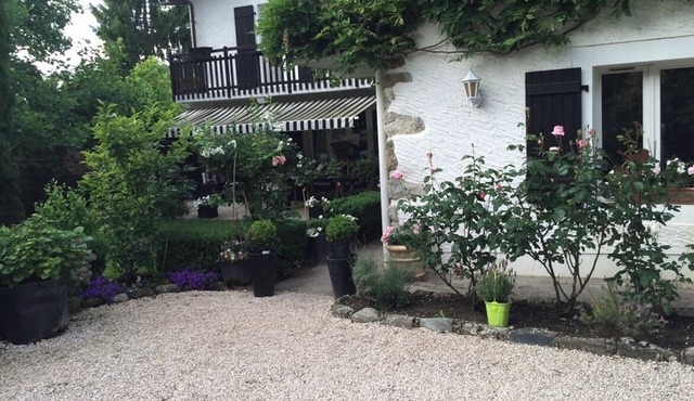 Charming Safarie Room