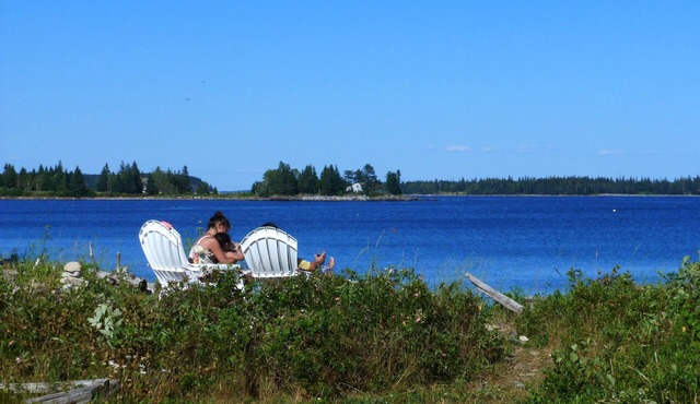 Charming Sapphire Blue Owls Head Waterfront Cottage