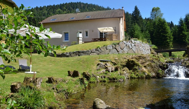 Charming seasonal rental at the foot of the Ballon d'Alsace