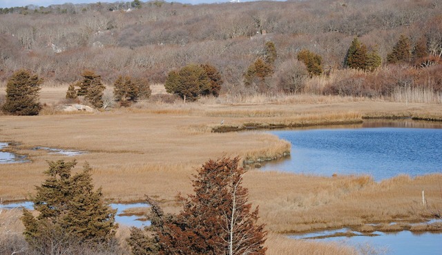 Charming Sea Side Cape Cod Cottage