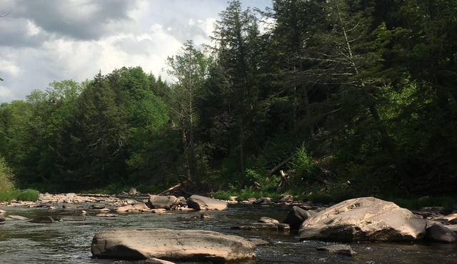 Charming secluded mountain house with creek view. 5 min from Hunter Mtn.