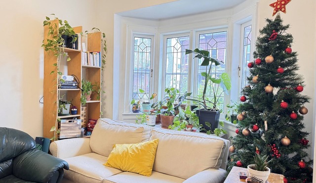 Charming semi in the heart of Queen West