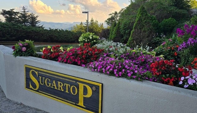 Charming Sky Blue 2-Bedroom Condo in Sugar Mountain with Resort Amenities