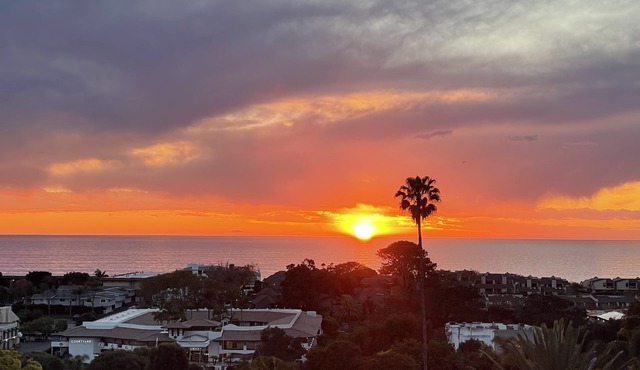 Charming Solana Beach 1br-4 resort across from beach, Pool, Spa, dolphin watch